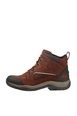 Sale ariat Telluride II H20 stallsko, herre Brown