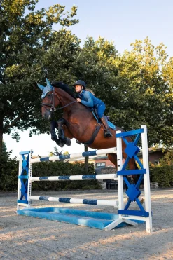 New bvertigo B Vertigo Darcey fleece ridejakke Celestialblue