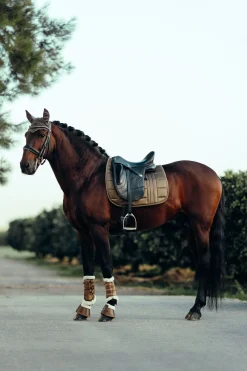 Hot bvertigo B Vertigo Drew ørehette CubBrown