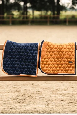 Best bvertigo B Vertigo Evolve dressursjabrak med antiskli-demping ReflectingPond