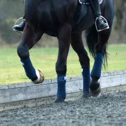 Clearance bvertigo B Vertigo France stallbandasjer DarkNavy