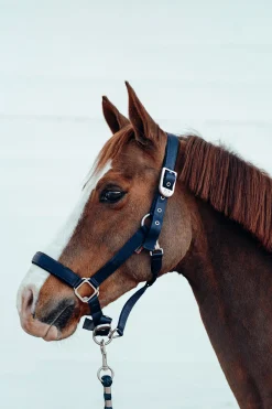 Discount bvertigo B Vertigo Hardwick grime DarkNavy