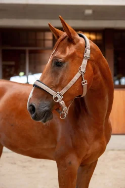 Sale bvertigo B Vertigo High Altitude preget grime Mudbrown