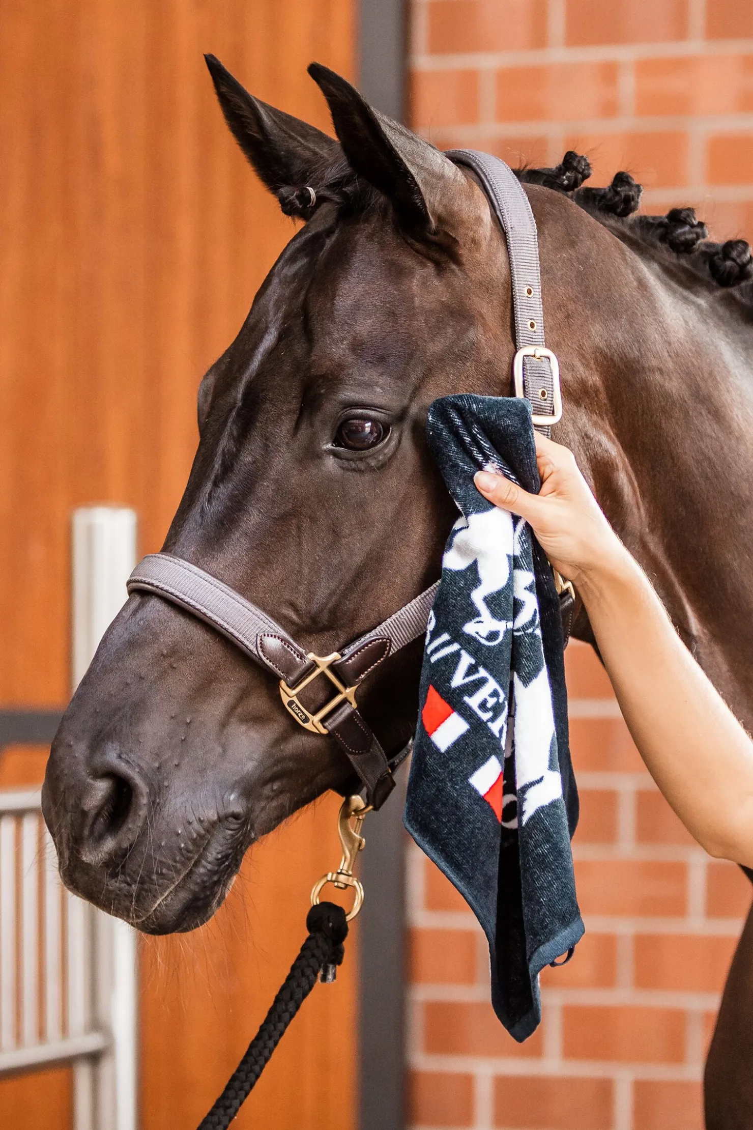 Clearance bvertigo B Vertigo hånd-håndkle DarkNavy