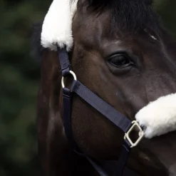 Best bvertigo B Vertigo Laurier grime med saueskinn DarkNavy