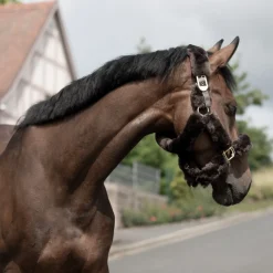 Discount bvertigo B Vertigo Tremblant grime med saueskinn Brown