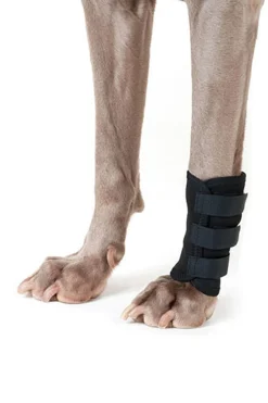 backontrack Back on Track beinbelegg til hund (1 stk) Black