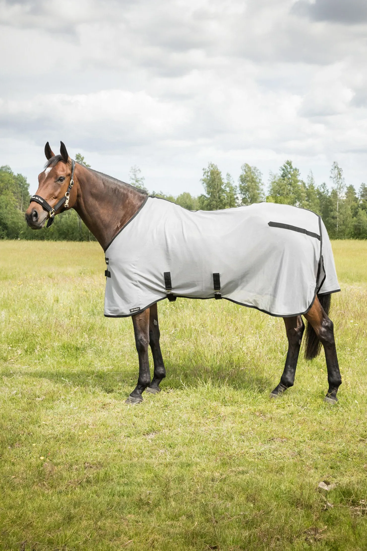 backontrack Back on Track Buzter fluedekken uten hals SilverGrey