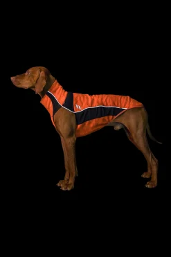 Sale backontrack Back on Track Eddie High-Visibility genser, 40-45 cm OR/B