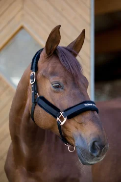 Outlet backontrack Back on Track Hace kolleksjonen, grime Black/Rose