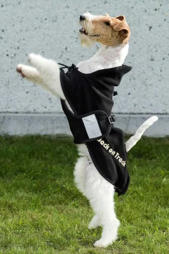 Outlet backontrack Back on Track hundedekken i fleece, 59-74 Black