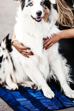 Hot backontrack Back on Track kjølematte Blue