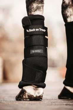 Sale backontrack Back On Track Quick Royal stallbandasjer Black