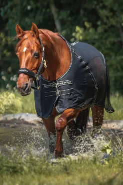 Sale backontrack Back on Track Sienna cooler Black