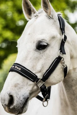 Best backontrack Back on Track Werano grime Black/Silver