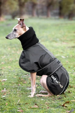 Best backontrack Back on Track Whippet hundedekken, XS-M Black