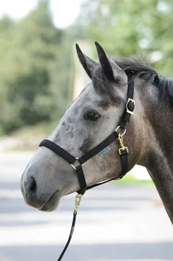 Outlet bucas Dublin, polstret luksusgrime Black/Black