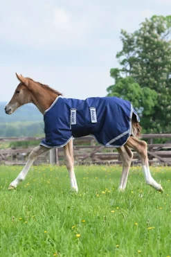 bucas føldekken, 50g Silver/DarkBlue