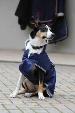 Hot bucas Freedom Hundedekken, 50g (50-75 cm) DarkBlue/Silver