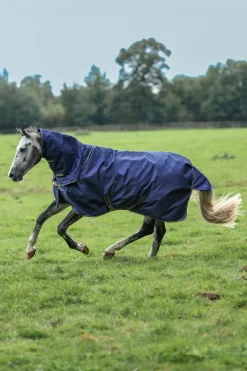 Discount bucas Irish Turnout halestykke, 0g DarkBlue/Gold