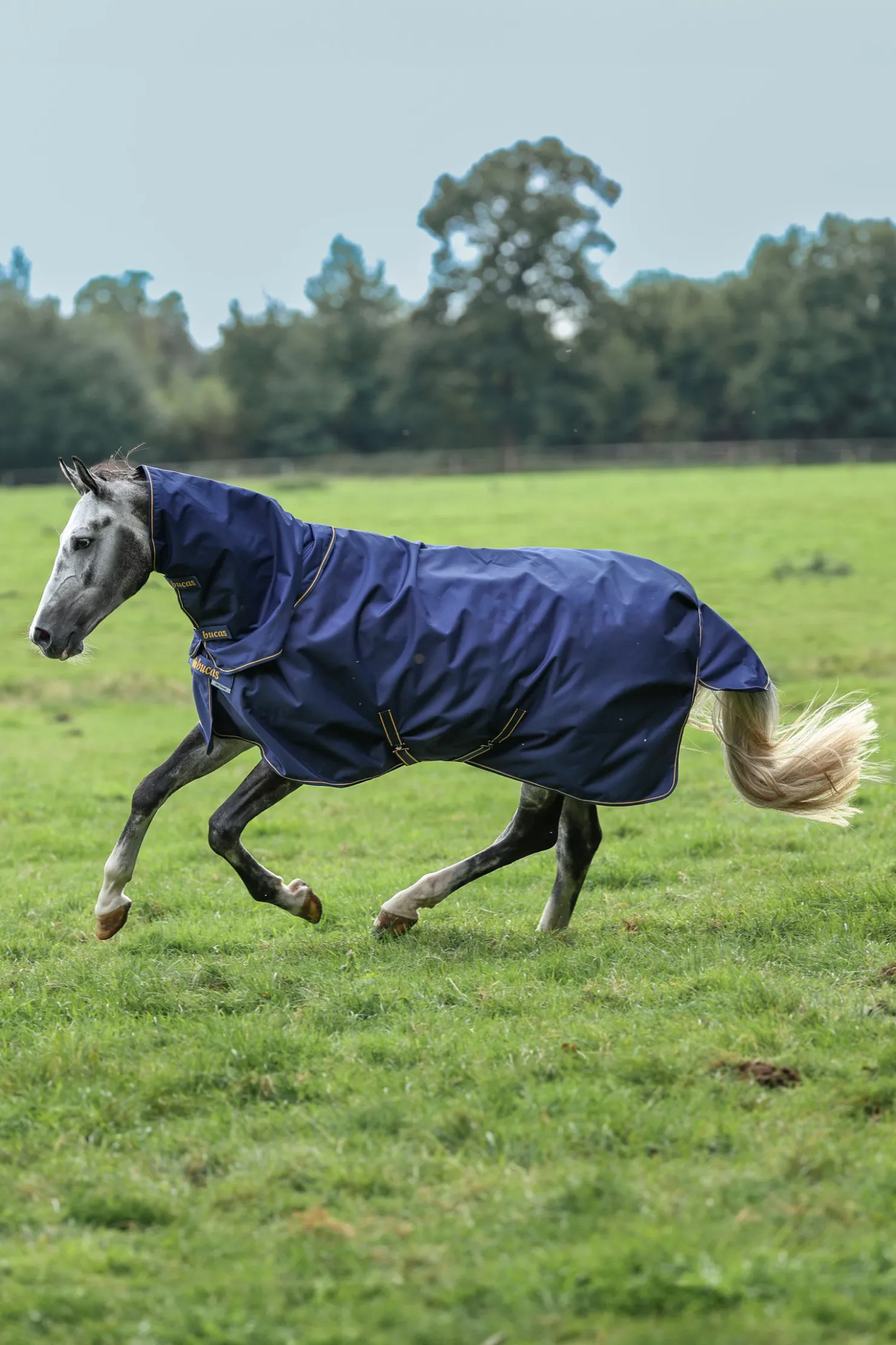 Discount bucas Irish Turnout halestykke, 0g DarkBlue/Gold