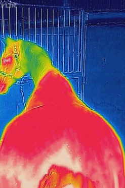 Hot bucas Therapy Mesh Cooler-dekken DarkBlue/DarkBlue