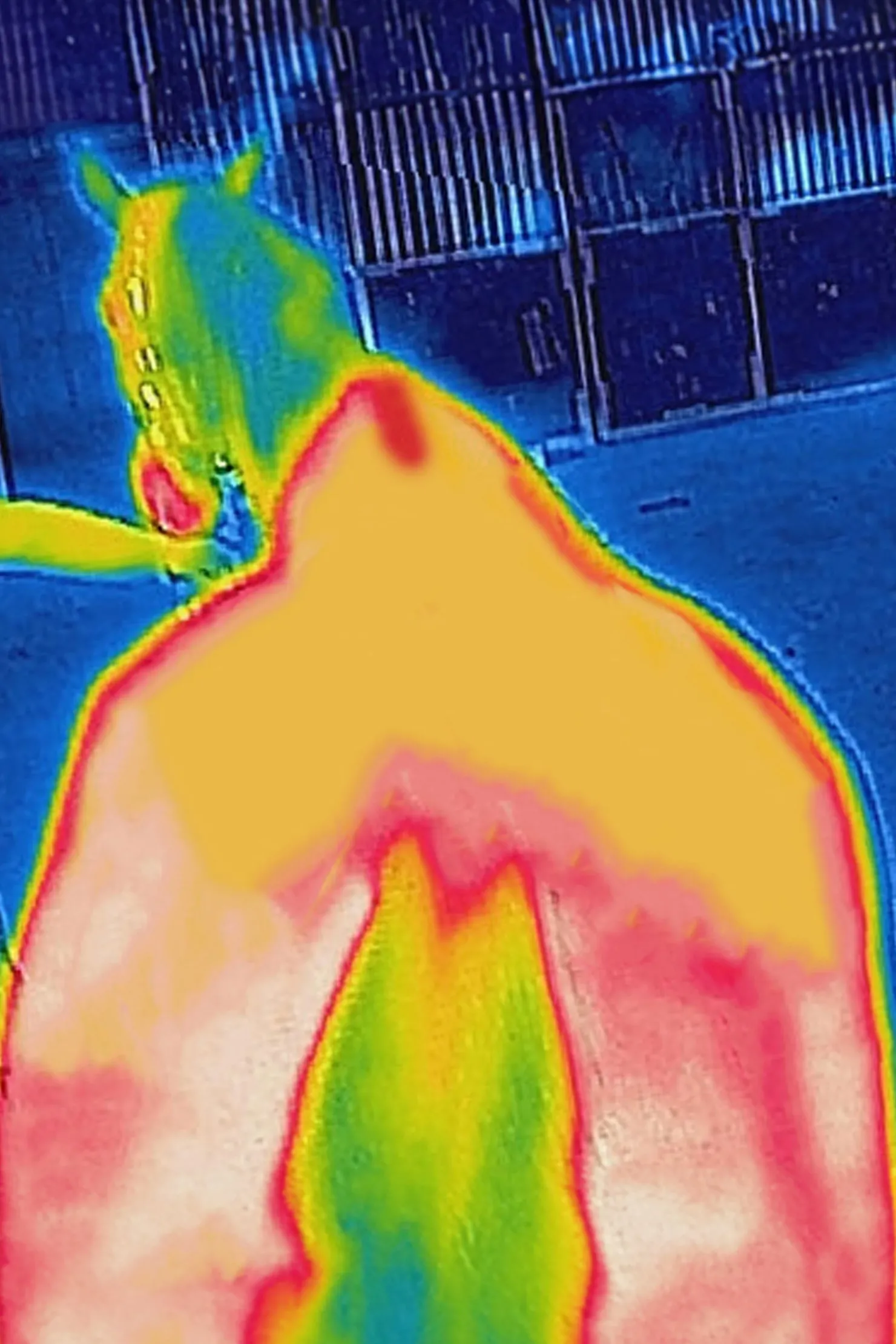 Best bucas Therapy utedekken lett, 50g DarkBlue/DarkBlue