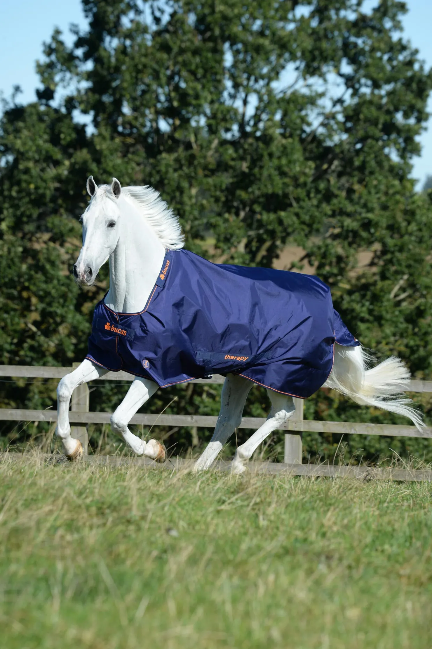 Best bucas Therapy utedekken lett, 50g DarkBlue/DarkBlue