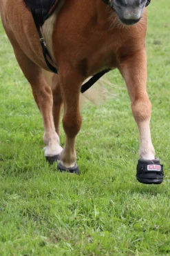 Outlet cavallohorseriderfr Cavallo Hoof Boots F.R.A. CLB boots (vanlig/par) Black