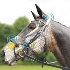 New collegiate ComFiTec Crystal, hodelag Black