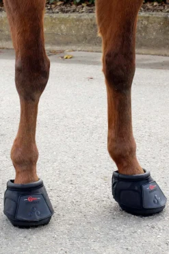 New covalliero hovsko (1 stk) Black