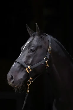 Clearance covalliero TopLine grime Black