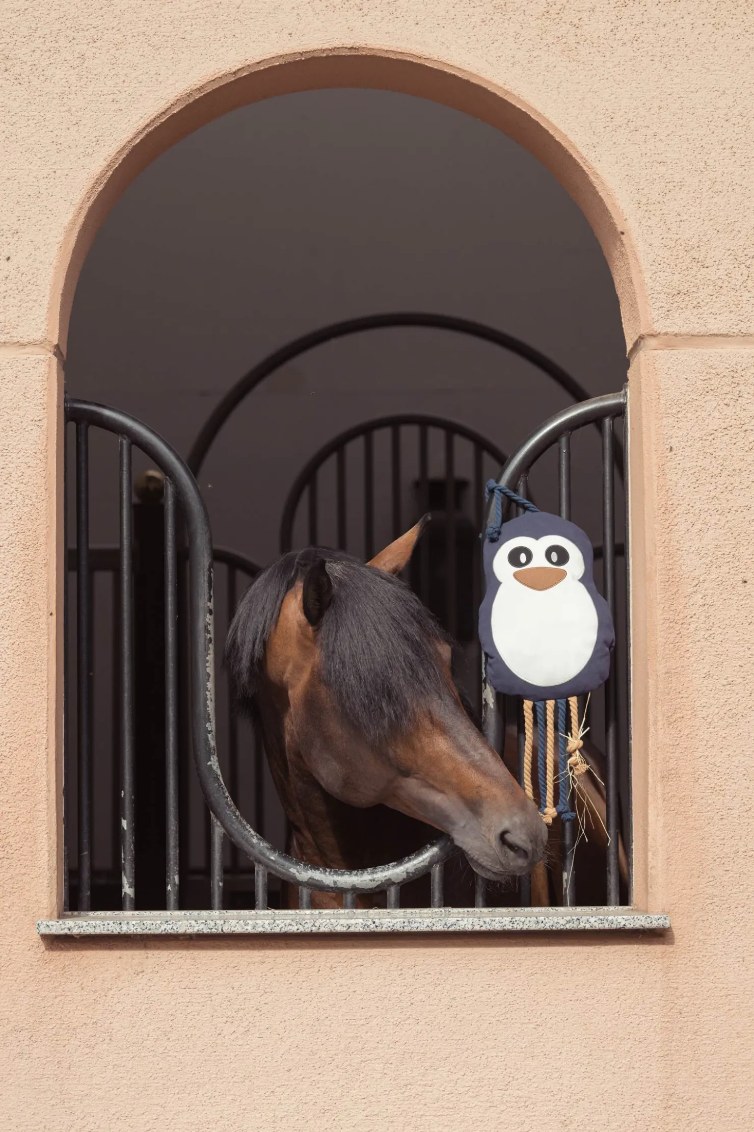 New eskadron Heritage AW24 Penguin hesteleke TrueBlue