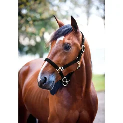 Outlet finntack Pro polstret nylongrime Black