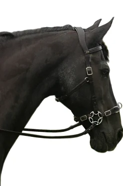 Hot fra F.R.A. Freedom Riding Articles Caval komplett cavemore hodelag (system 2) i engelsk lær, shire Black