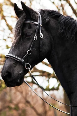 Discount fra F.R.A. Freedom Riding Articles Pardoes de Luxe Sidepull med tøyler (system 3) Black/Gray