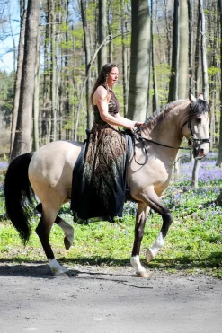 Best fra F.R.A. Freedom Riding Articles Imperial hodelag hackamore med tøyler (system 2) Black