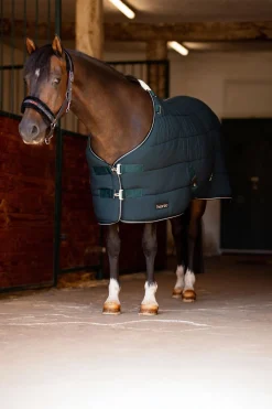 Best horze Glasgow ponnidekken for stall Darkseagreen
