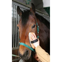 kerbl Haas Brush&Co børste, trerygg, stor Wood