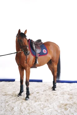 Discount harcour Safine dressurseterunderlag Marine(Navy)