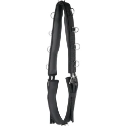 Online harryshorse Harry Black