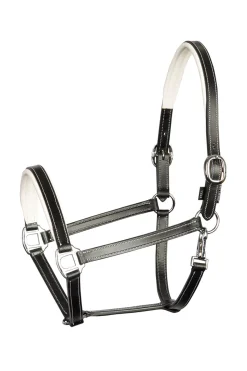 Discount harryshorse Harry Black