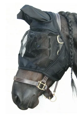 Clearance harryshorse Harry Black