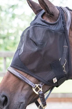 Discount harryshorse Harry Black