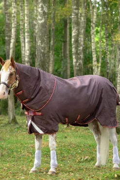 Online horseware Amigo Bravo 12 Plus utedekken med avtakbar hals, 100g Brown/Red/Gold/Red