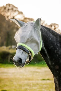 New horseware Amigo Fluemaske