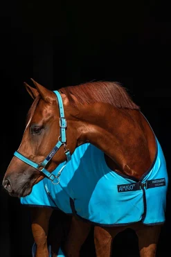 Online horseware Amigo grime