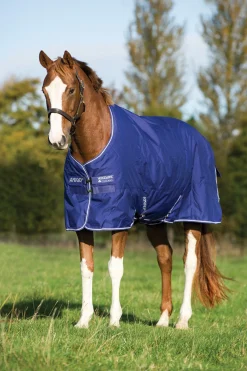 Clearance horseware Amigo Hero 900 Plus Medium utedekken, 200g AquaBlue/IvoryWhite