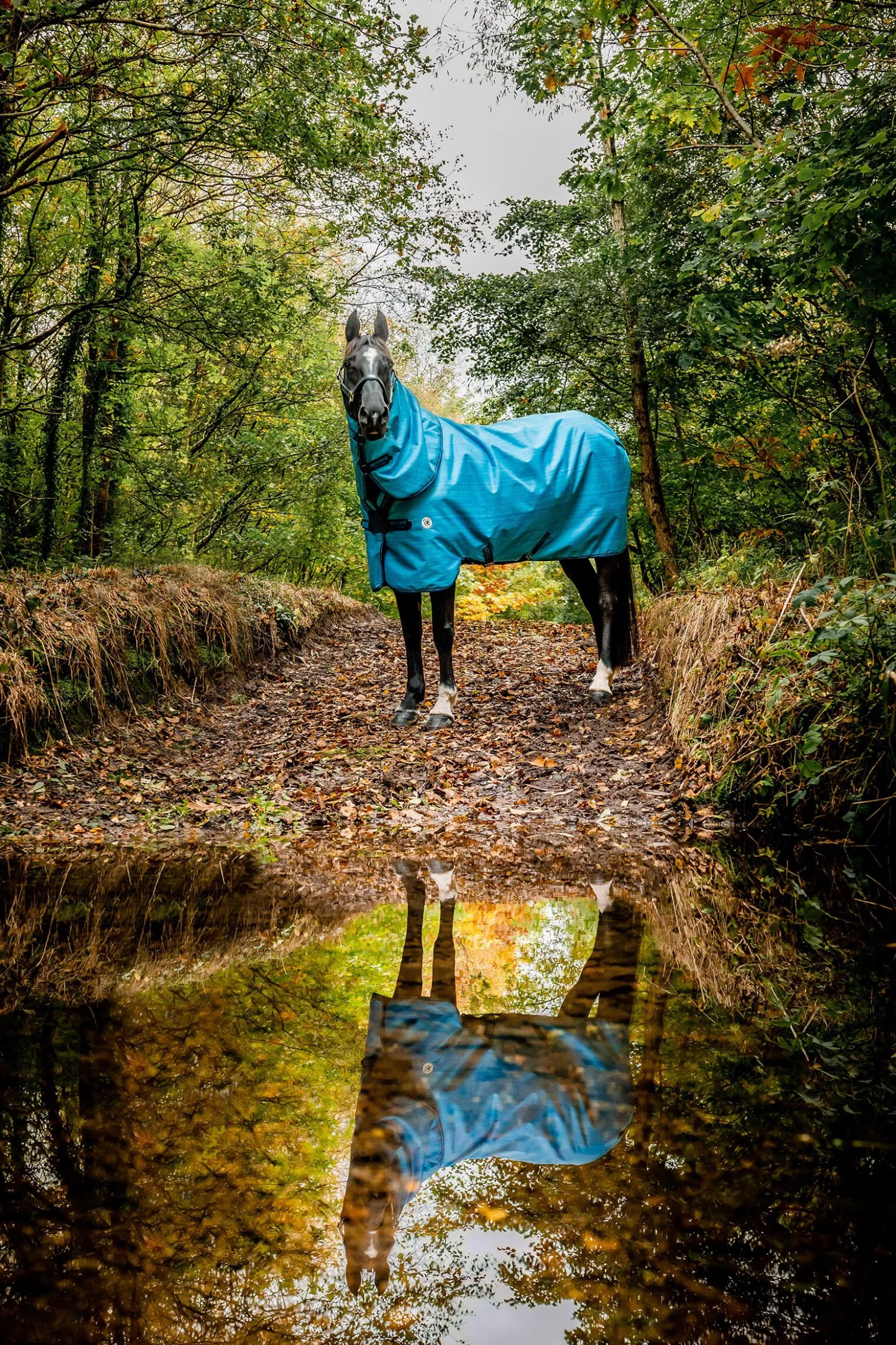 horseware Amigo Hero 900 Revive Plus utedekken med avtakbar hals, 50 gram OceanBlue