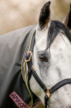 Discount horseware Amigo Hero Ripstop Plus utedekken med avtakbar hals, 0g